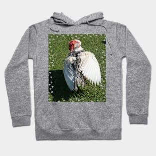 Muscovy Duck Hoodie